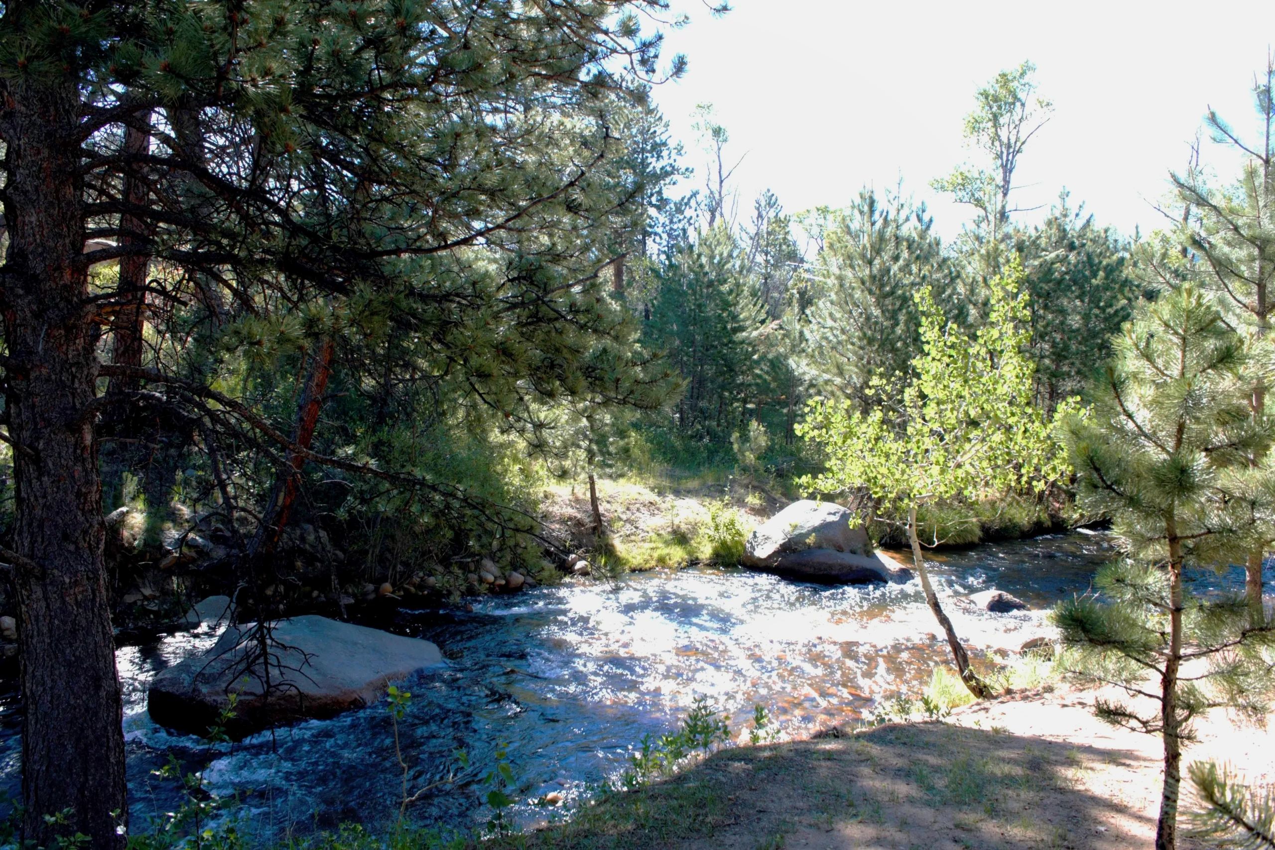 A serene natural setting with a river flowing through a forested area.