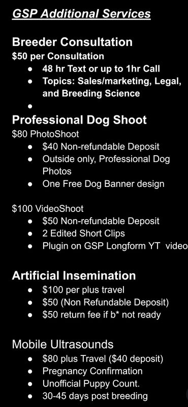 List of GSP additional services including breeder consultation, dog photo/video shoots, artificial insemination, and mobile ultrasounds.