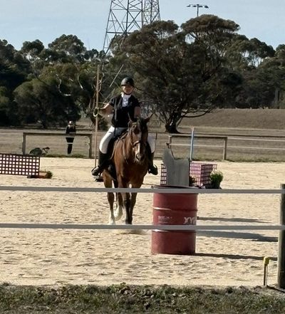 Person riding a horse in an outdoor arena with jumps and barrels.