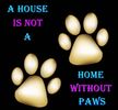 A House Is Not A Home Without Paws