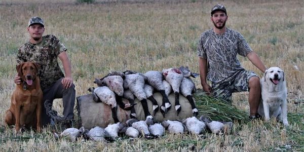 Two hunters with dogs pose beside their waterfowl hunt in a field.