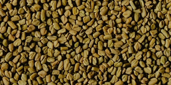 Close-up of fenugreek seeds densely packed together.