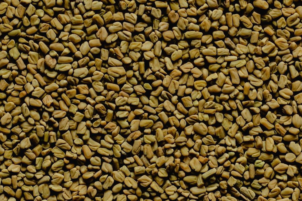 Close-up of numerous brown seeds spread evenly.