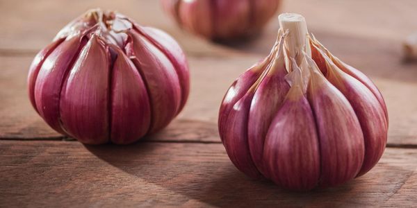 Garlic, one of the most widely used ingredients in global cuisine, is valued for its strong flavor, distinctive aroma, and exceptional health benefits. An essential component in both household cooking and the food processing industry, it enhances dishes with its rich, savory taste.