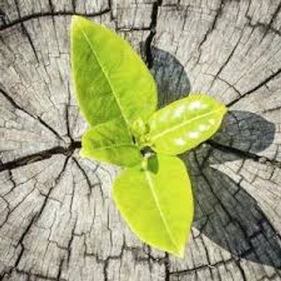 This image represents resilience within each person.  That there is nothing too hard to get through E