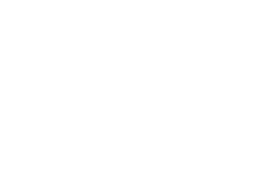 Artipel
