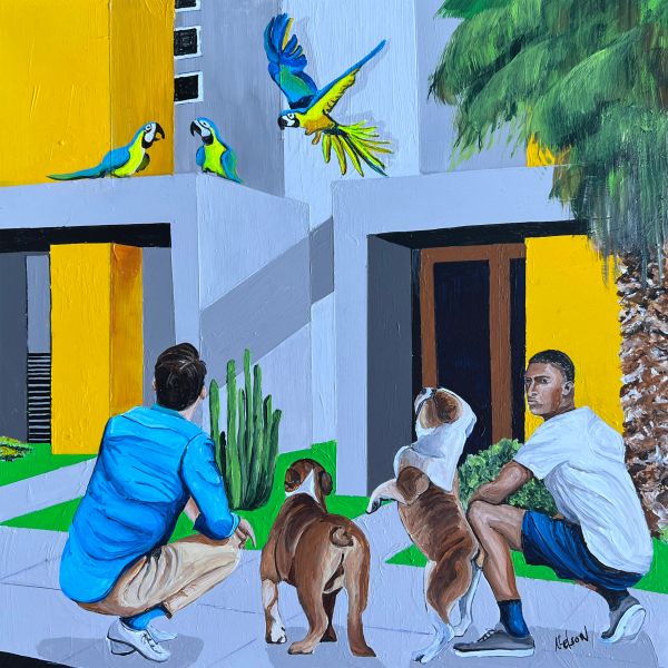 Wild Parrots