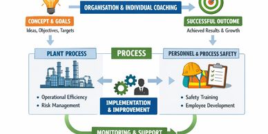 Flowchart of organization and individual coaching process.