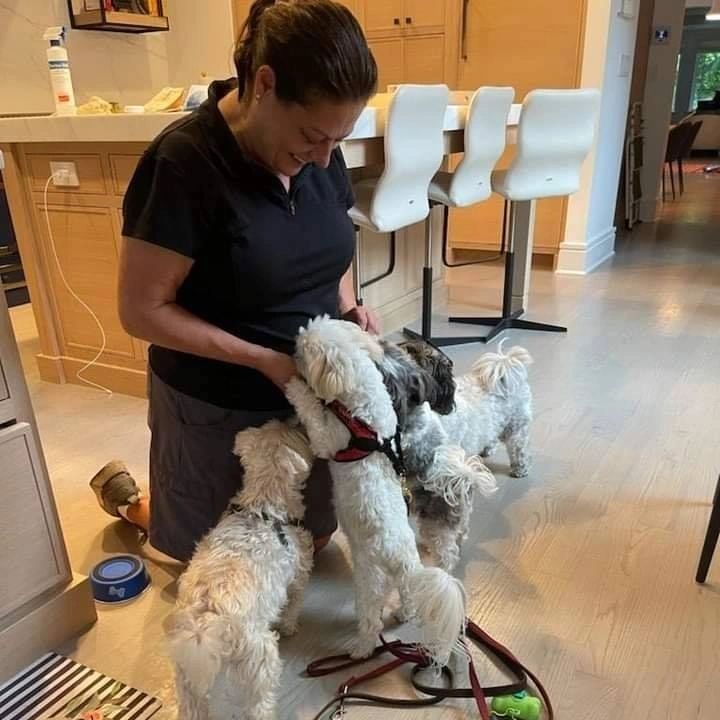 Happy Hound Haven Chicago