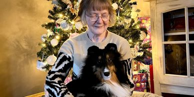 Woman holding a Shetland Sheepdog by a decorated Christmas tree with dog show ribbons.
