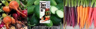 Use fresh vegetables with the Quick Pickle Kit + enjoy your creation in 3 days