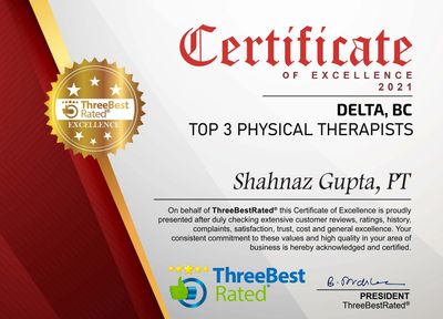 Best physiotherapist in delta  Sunshine Physiotherapy and Sports Clinic British Columbia