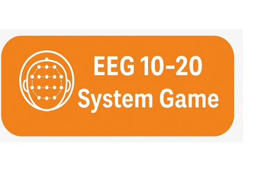 Press this button to begin playing an EEG electrode site locator game.