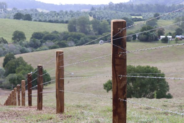 Barbed wire fence with wooden posts in a rural landscape.