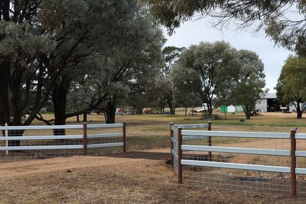 A rural scene with metal gates and trees in a dry landscape.