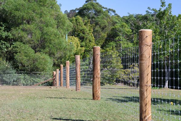 Wooden posts with wire fencing in a grassy area near trees.