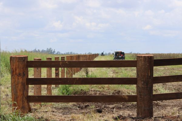 Newly installed wooden fence posts stretch across a grassy field under a cloudy sky.