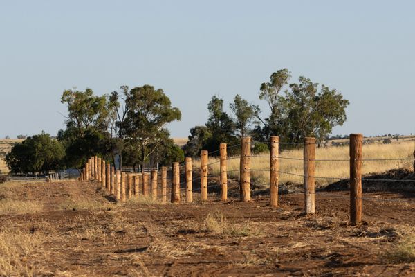 Wooden fence posts line a dry rural landscape under a clear sky.