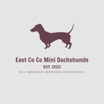 East co co mini dachshunds Est.2022