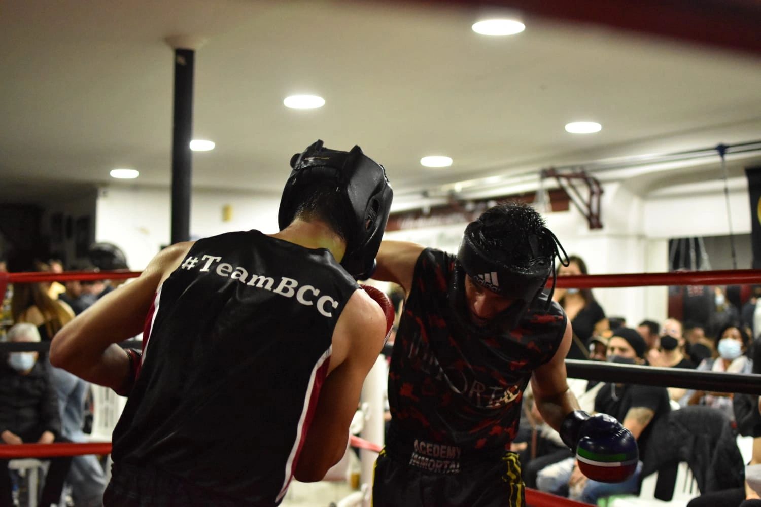 Conoce todos nuestros servicios de Boxeo, Kickboxing y MuayThai