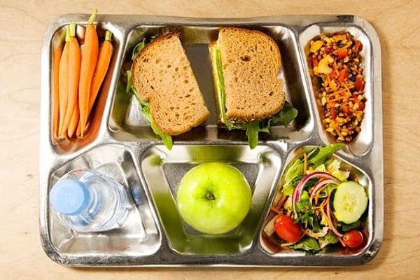 A healthy school lunch tray with sandwich, carrots, salad, apple, water, and grains.