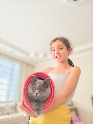 A girl holding a gray cat wrapped in a rolled-up mat.