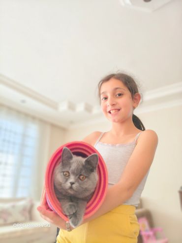 A girl holding a gray cat wrapped in a rolled-up mat.