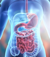 Gut & Metabolic Performance Expert