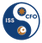 INSIGHTS STRATEGY SOLUTIONS LLC
