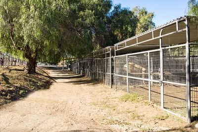 Empty outdoor animal enclosures along a dirt path under clear sky.
