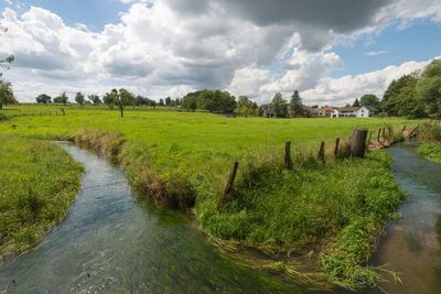 Stream through a sunny landscape in summer. Image by photonaj.