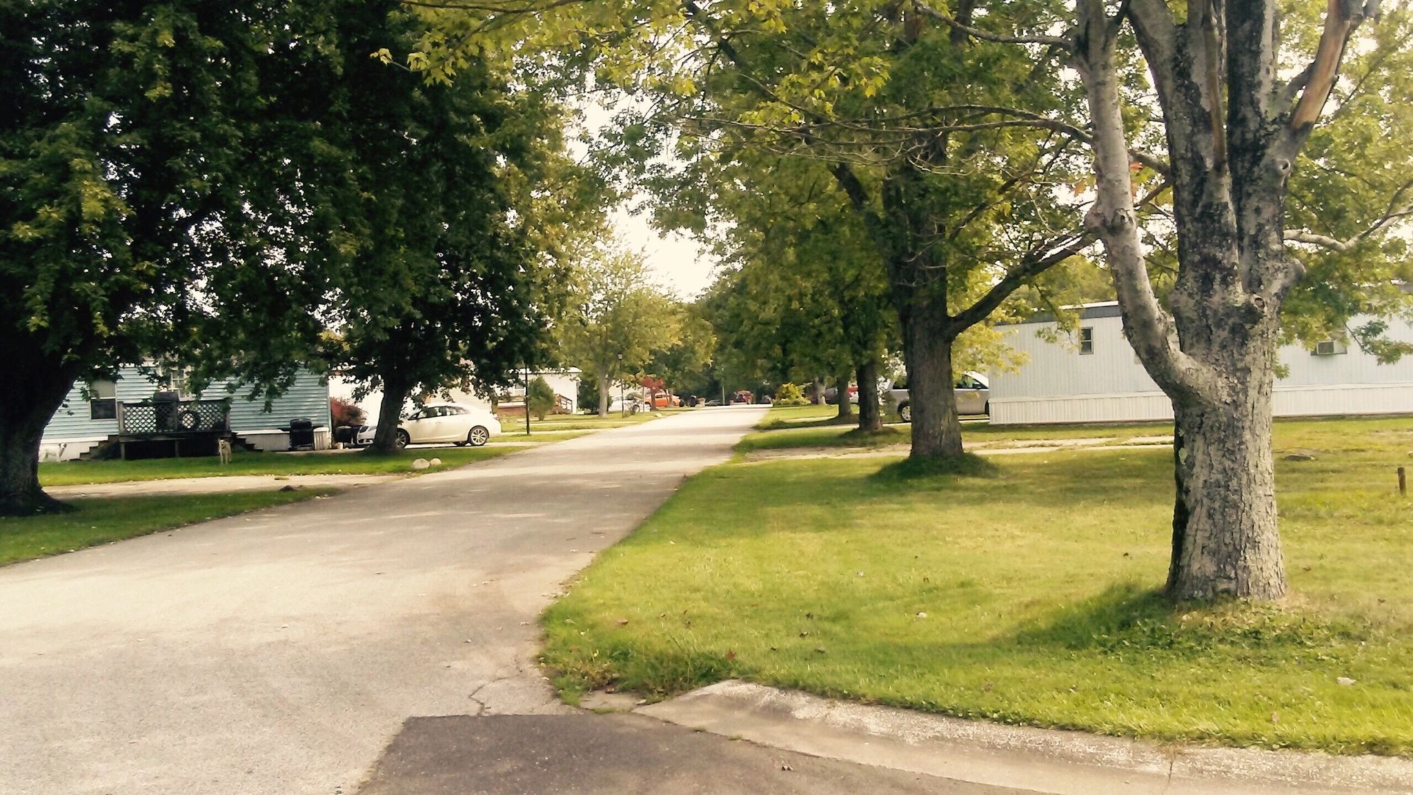 Blackbrook Valley Estates, LLC