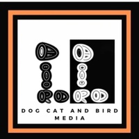 Dog Cat And Bird Media