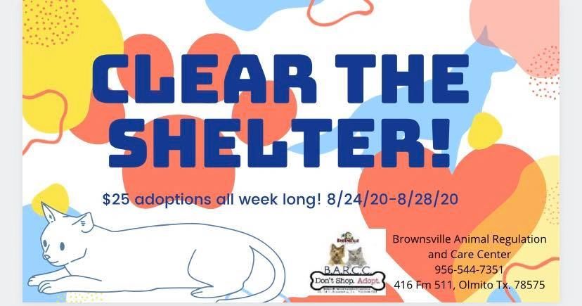 brownsville animal shelter website