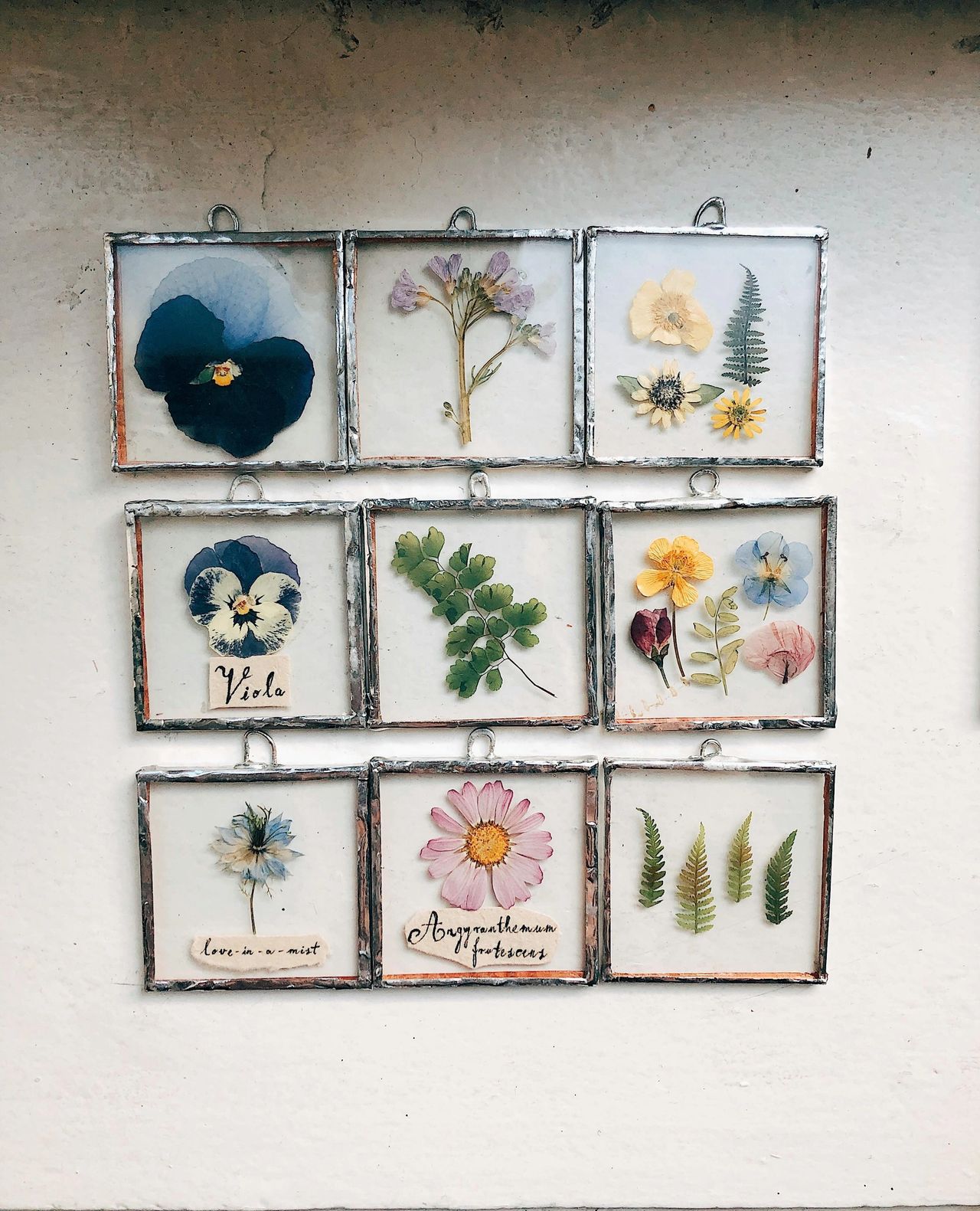 framed-dried-flowers-and-leaves-for-jewellery framed-dried-flowers-and-leaves-for-jewellery
