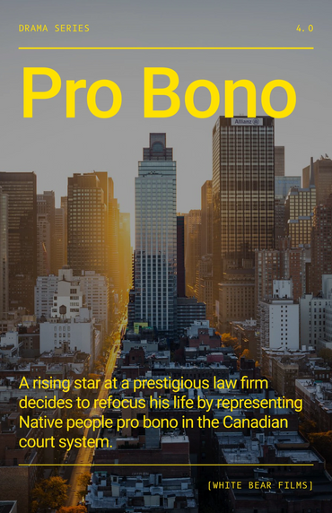 A poster for the drama series "Pro Bono," set in a cityscape at sunset. The text reads: "A rising st