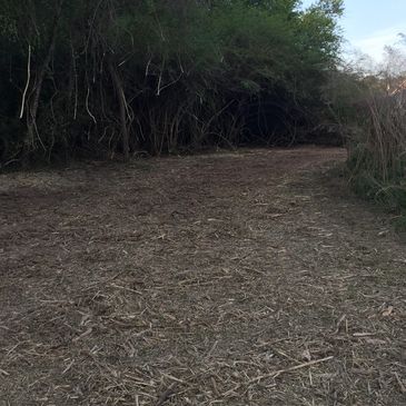 image13