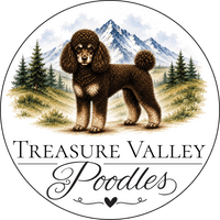 Treasure Valley Poodles and Doodles