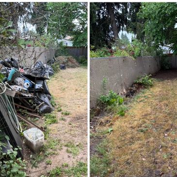 Side-by-side comparison of a backyard before and after cleanup.