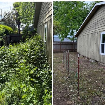 Side yard before and after clearing dense overgrown vegetation.