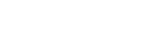 Magnitude digital