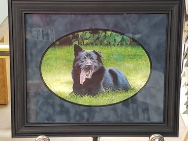 A local artist was commissioned to paint this picture of a recently deceased pet. I framed this for 
