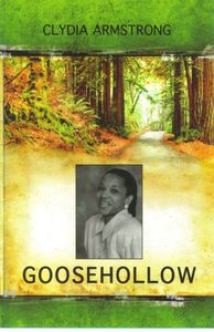 Memoir about growing up and fitting in.