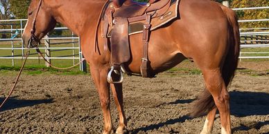Ernst Ranch cutting horse prospects for sale in Oregon