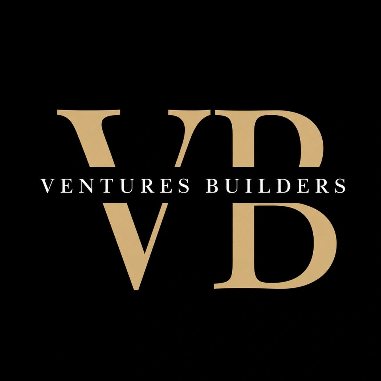 Elegant logo with initials VB and the text Ventures Builders.