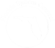 Florida System Control llc.