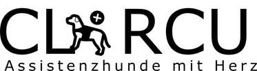 A.O.Y Holdings GmbH / International Social Analytics