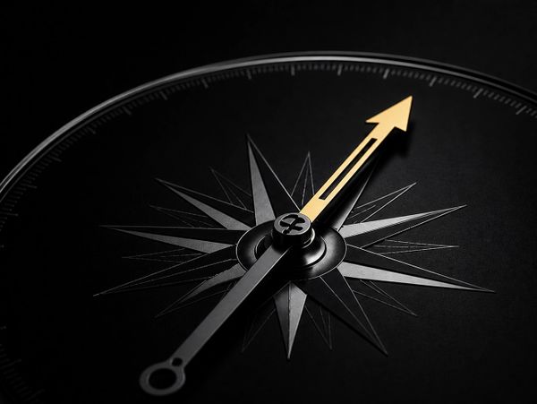 Close-up of a black compass with a gold needle pointing north.