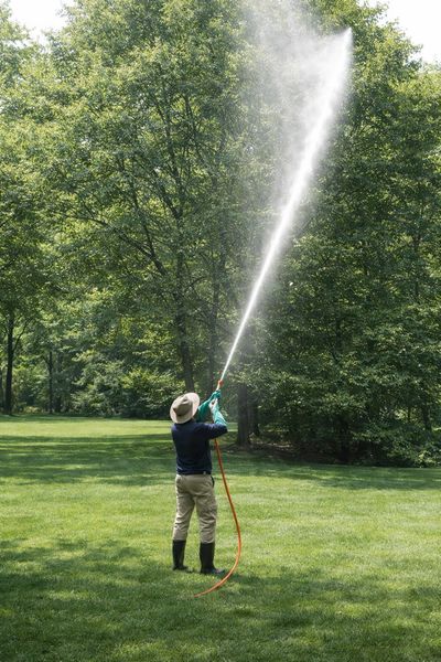Technician applying preventive tree care treatments with a hose in a spacious, green backyard — part of Empire State’s tree care services and shrub health programs designed to maintain pest-free landscapes and protect against fleas, ticks, and mosquitoes.