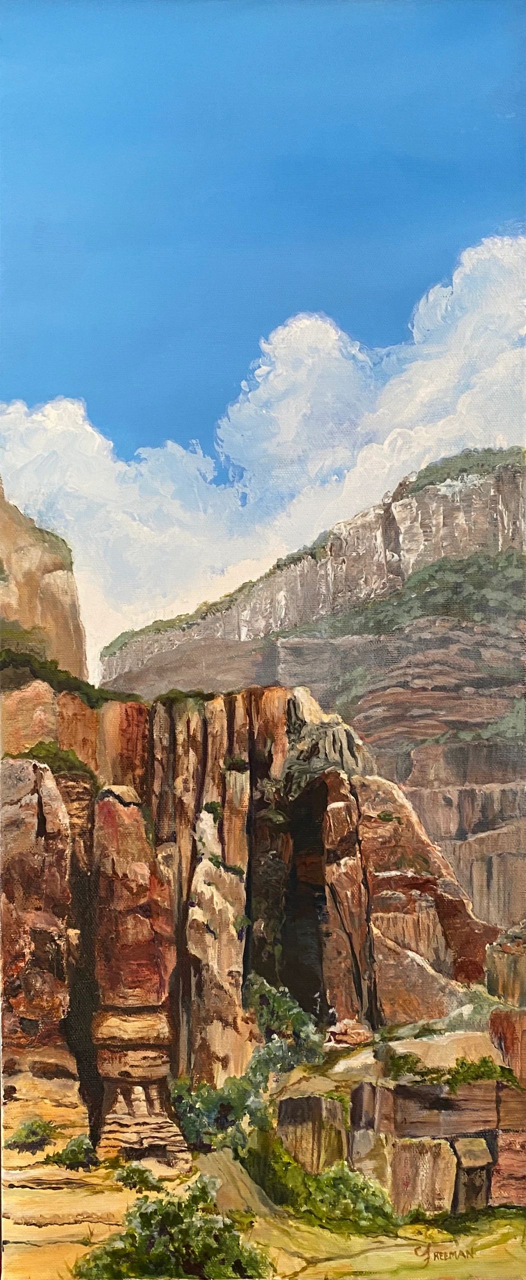 The Grand Canyon from Phanton Ranch